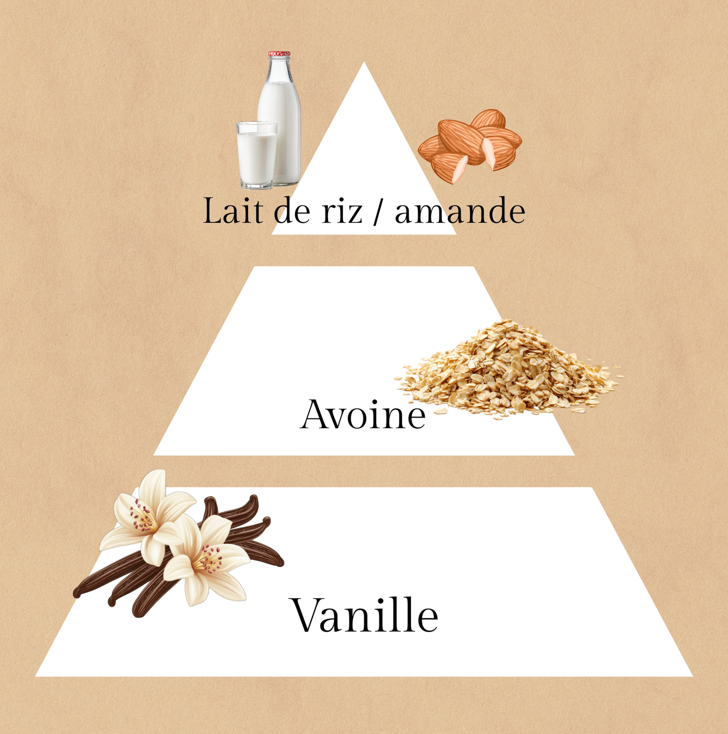 đ€L'Aimante | Bougie au lait de riz poudrĂ© | 20h de diffusion | Cire vĂ©gĂ©tale | Parfum poudrĂ© et gourmand