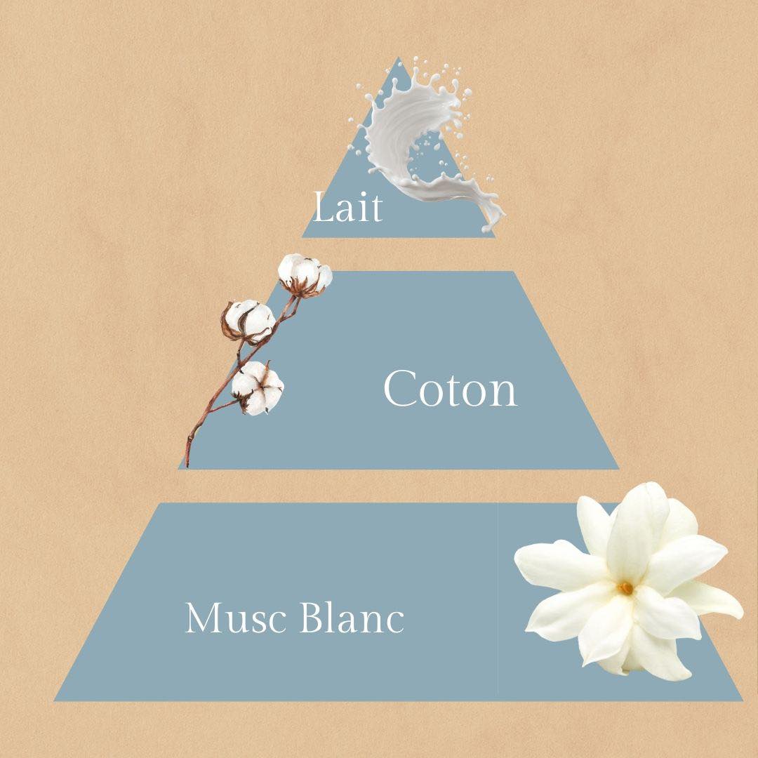 Sur un Nuage- Bougies à la fleur de coton - 20 Heures Parfumées