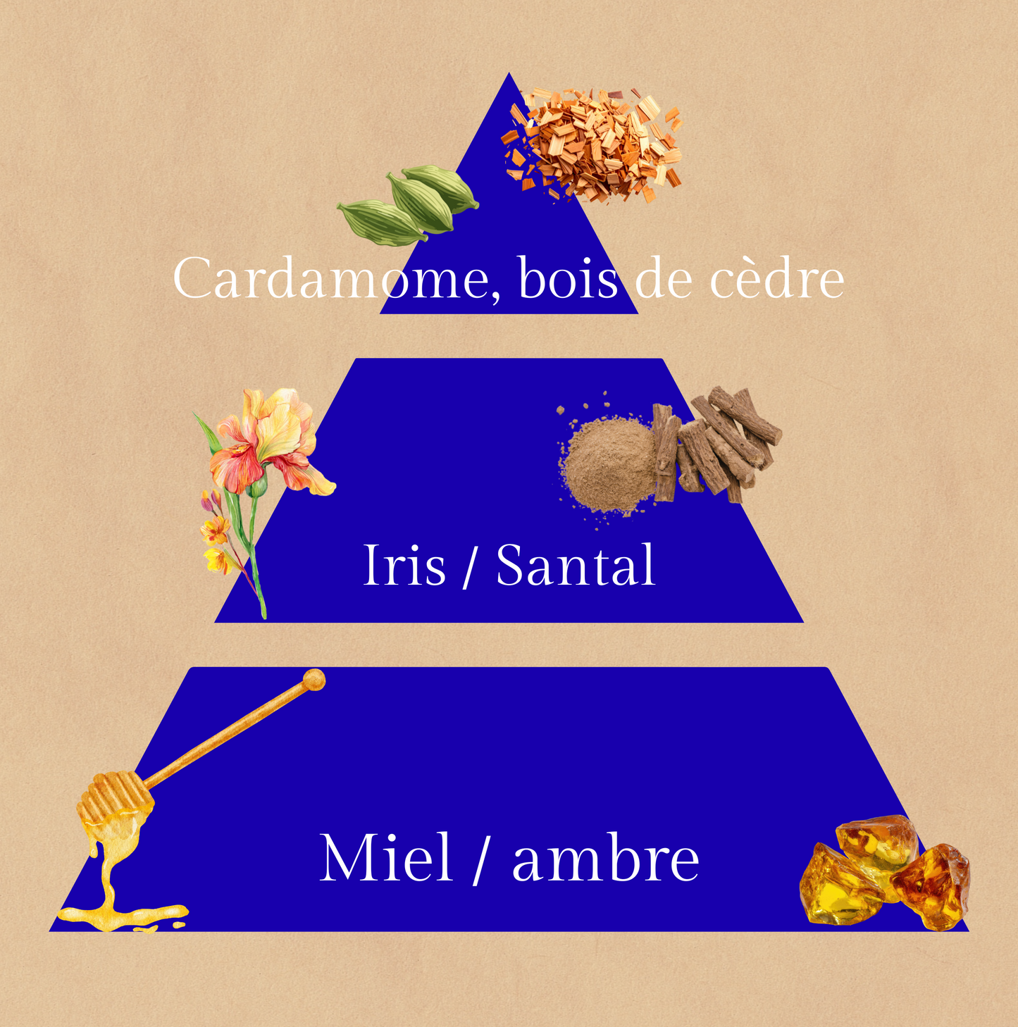 đ Nuit dâĂtoile | Bougie au parfum d'Orient | 30h de diffusion | Cire vĂ©gĂ©tale | Parfum Oriental âą ĂpicĂ© âą AmbrĂ© âš