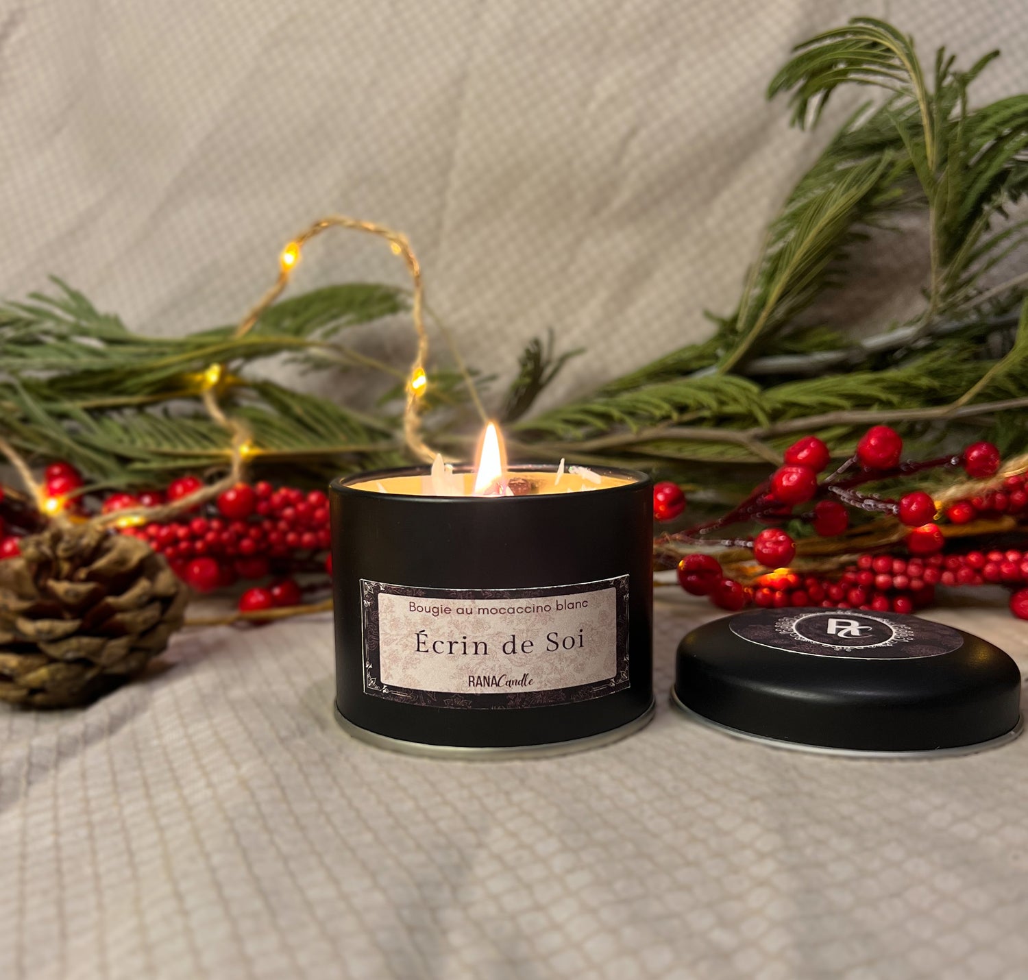 Collection de Noël 🎄