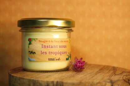 Instant sous les Tropiques, bougies au monoï - 20Heures Parfumées