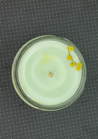 Première Noté bougie parfumée au thé vert - 20h de diffusion