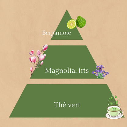 Première Note parfumée au thé vert - 25h de diffusion