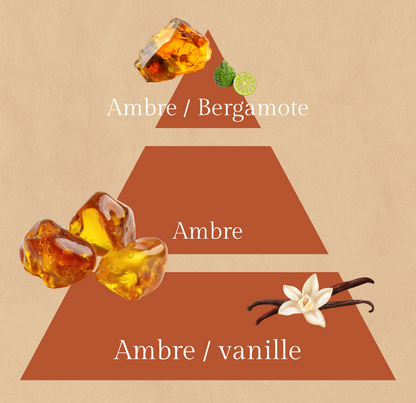 ✨Originel | Fondant à l'ambre douce | 10h de diffusion | Cire végétale | Parfum sensuel