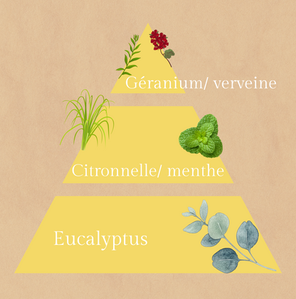 🌿Paisible été | Bougie au géranium et citronnelle | 30h de diffusion | Cire végétale | Parfum frais et protecteur