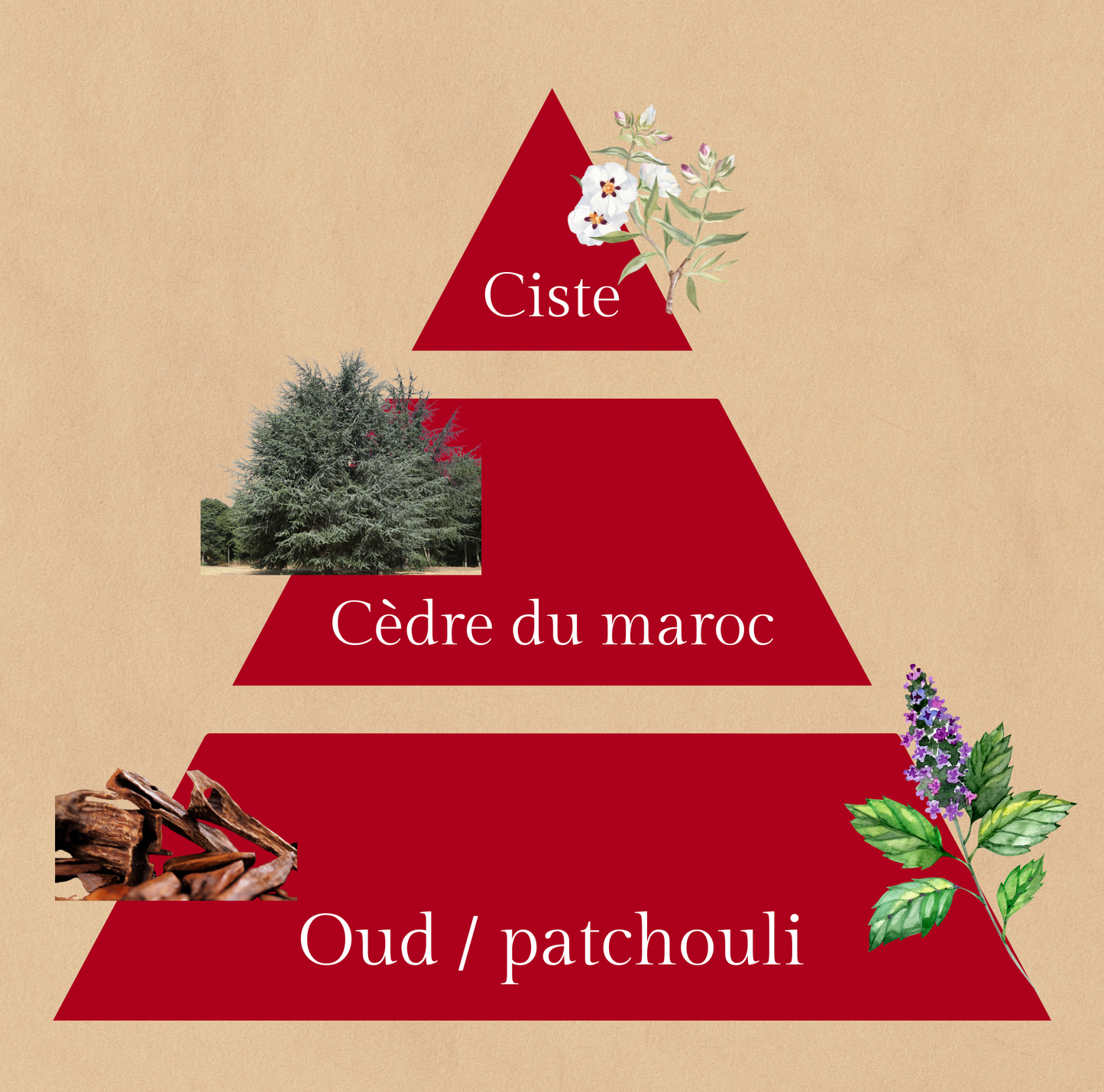 🍂Instant Velours  | Suspension fondante au Bois de Oud | 30h de diffusion  Cire végétale | Parfum enveloppant