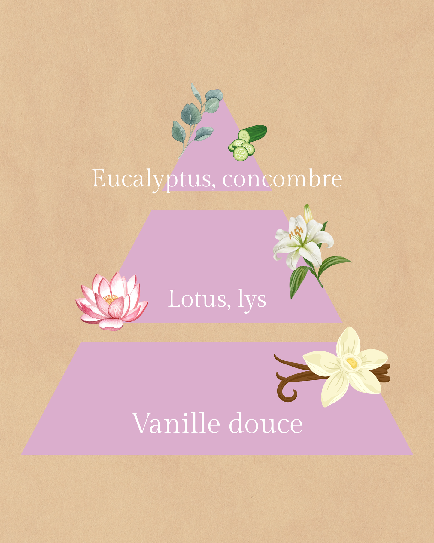 🤍L’Étreinte  | Bougie parfumée aux fleurs blanches | 20h de diffusion | Cire végétale | Parfum Floral • Frais • Vanillé