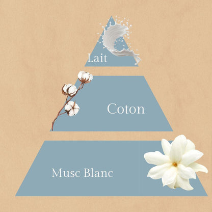 Sur un Nuage- Fondants à la fleur de coton - 10Heures Parfumées