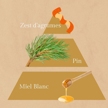 Douceur - Bougies au parfumées au miel - 30h Parfumées